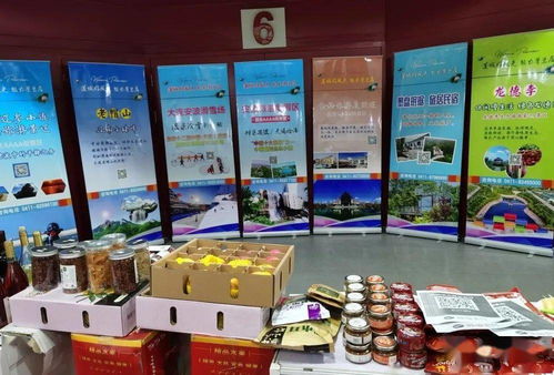 攜手長三角，共贏新未來——我區赴上海成功舉辦對口合作暨地區特色產品展銷旅游文化推介活動